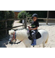 100% Equitation (15 jours) du 07/02/27 au 21/02/27